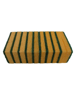 EPONGE CLASSIQUE PETIT MODELE – Image 2