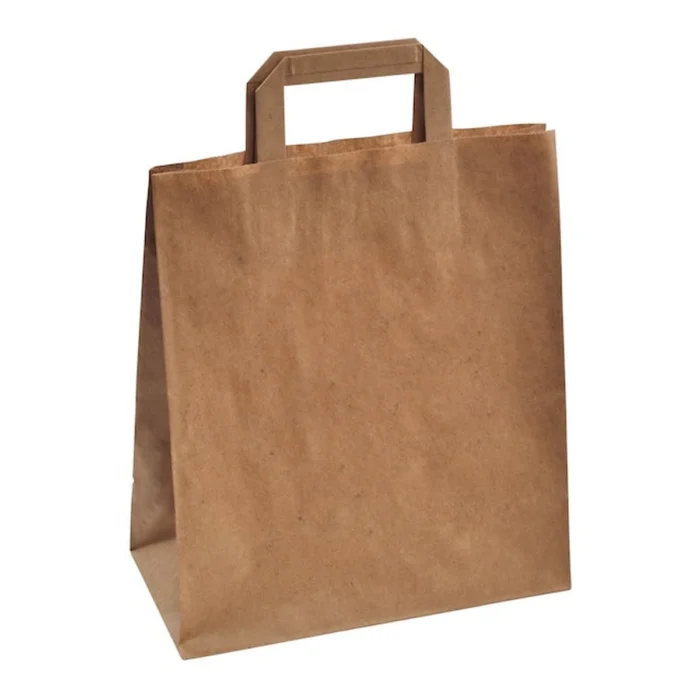 250 SAC KRAFT ANSE PLATE 22X28+10 CM