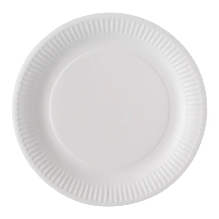 ASSIETTE CARTON BLANC D23